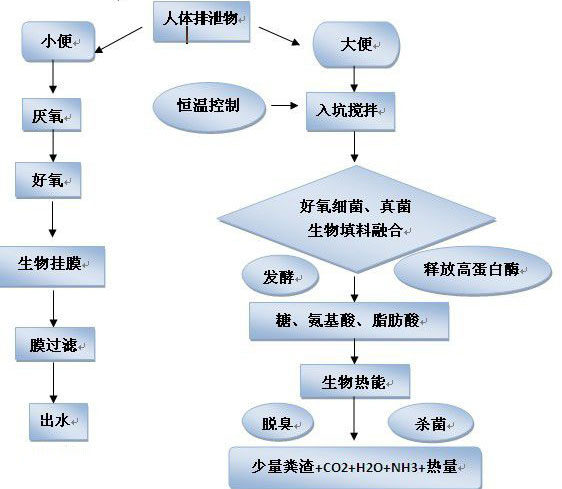 生態(tài)廁所功能效果圖